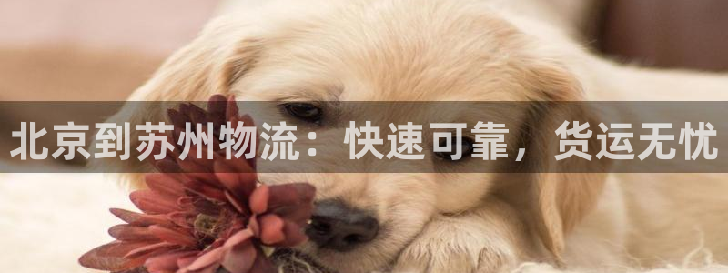 28圈游戏链接