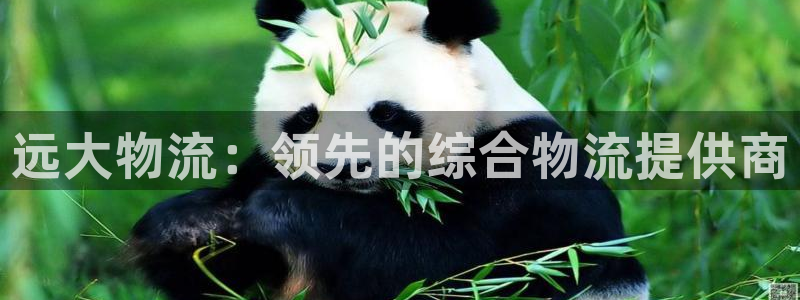 28圈.ccmpc预测：远大物流：领