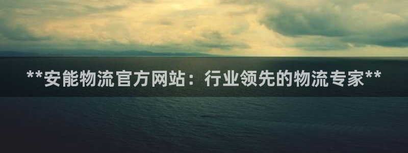 28圈为什么打不开：**安能物流官方