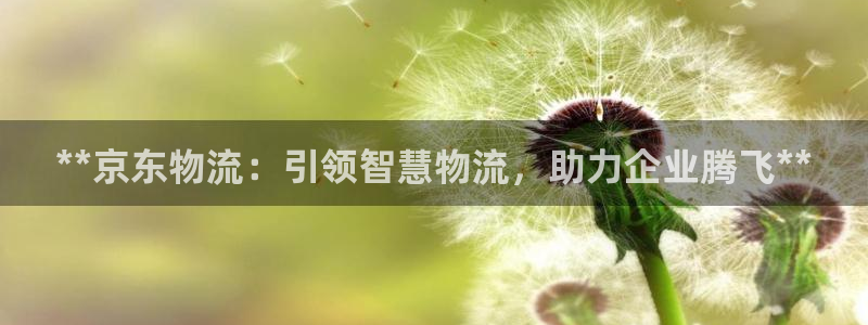 28圈推广链接是多少粉丝：**京东物