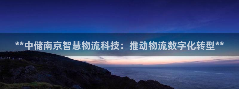 28圈正规吗：**中储南京智慧物流科