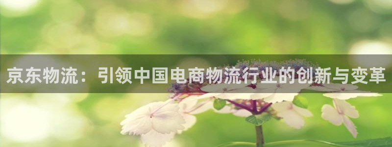 28圈违法吗：京东物流：引领中国电商