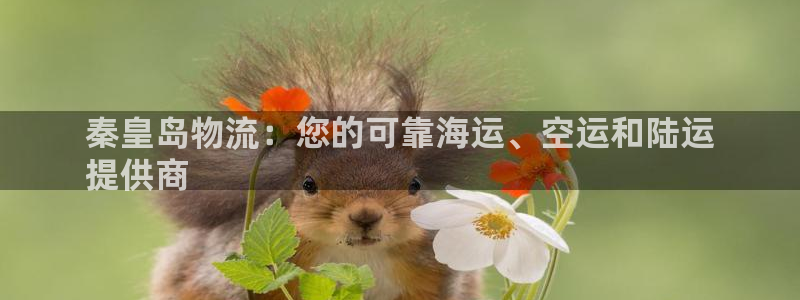 28圈现在狂杀：秦皇岛物流：您的可靠