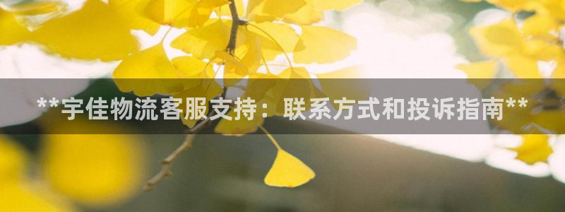 28圈辅助：**宇佳物流客服支持：联