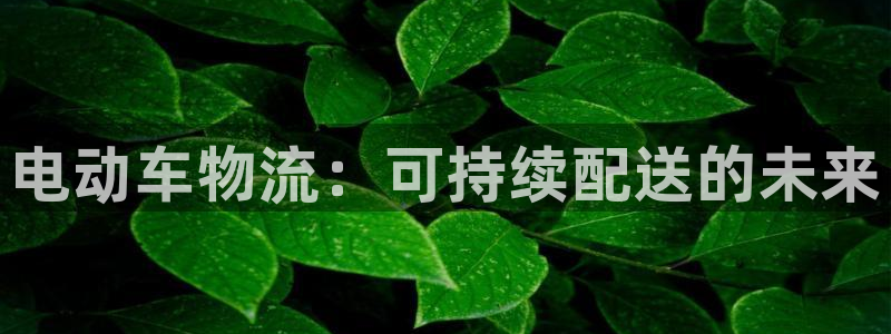 28圈p扣除是什么意思：电动车物流：可持续配送的未来