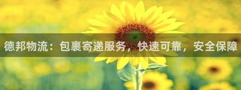 28圈连接：德邦物流：包裹寄递服务，快速可靠，安全保障