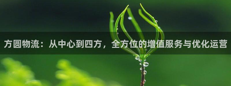28圈加拿大