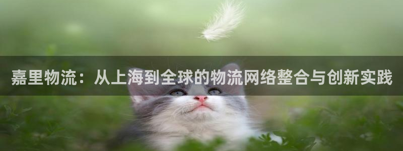 28圈网站平台是多少