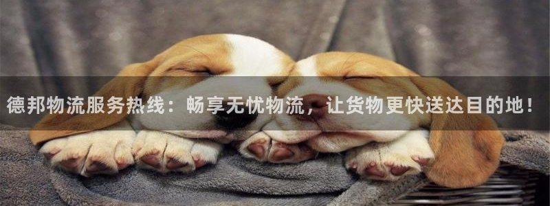 28圈最稳打法