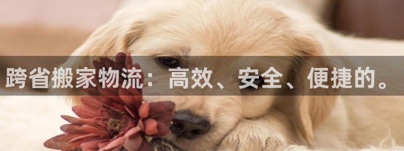28圈p扣除是什么意思