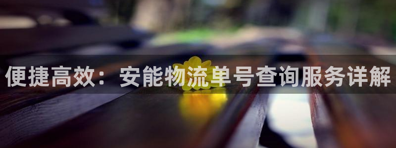 28圈下载不了