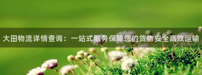 28圈起来的符号