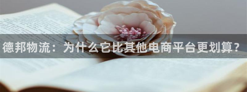 28圈如何退款：德邦物流：为什么它比