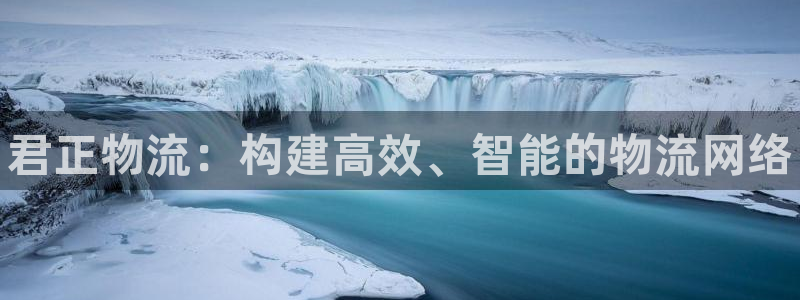 28圈软件堵什么反什么：君正物流：构