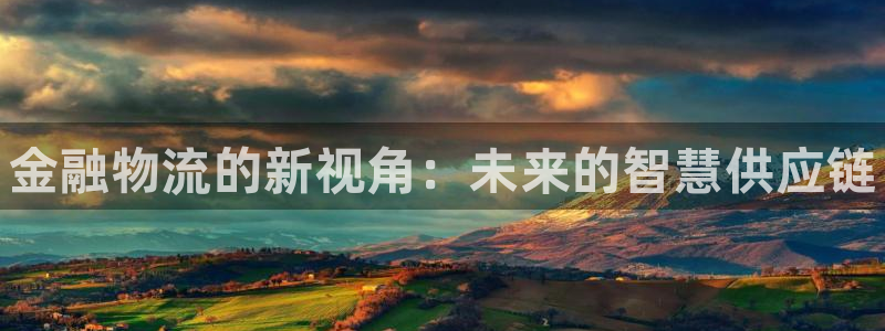 28圈cn：金融物流的新视角：未来的