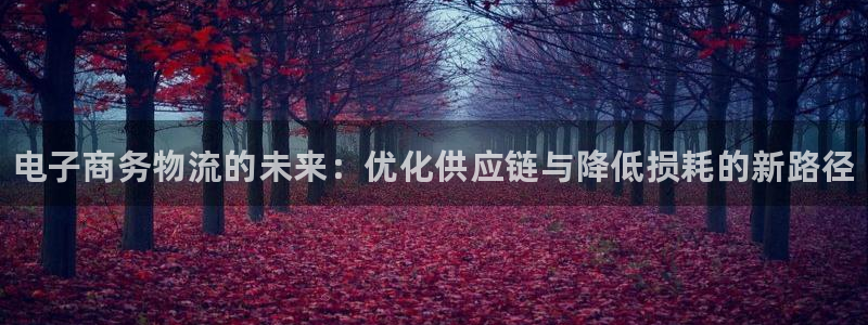 28圈p图上分下款通道：电子商务物流