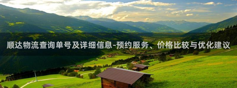 28圈下载不了:顺达物流查询单号及详