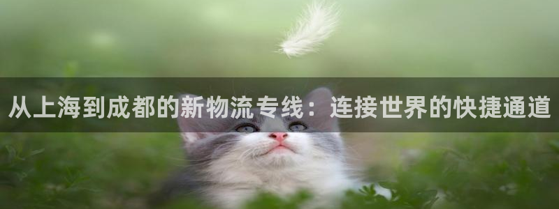 28圈官网版所有版本：从上海到成都的