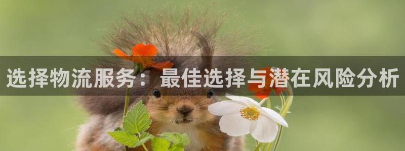 28圈cn：选择物流服务：最佳选择与