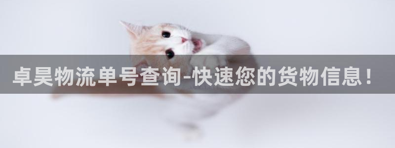 28圈注册网址百度知道：卓昊物流单号