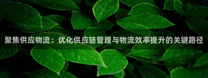 28圈官网多少:聚焦供应物流:优化供