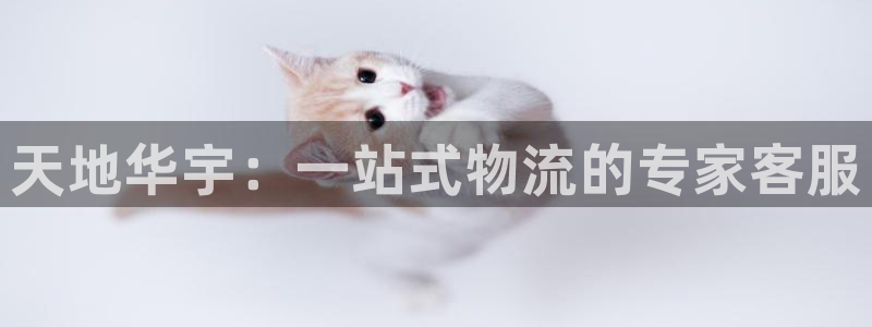 28圈机器人是什么软件:天地华宇:一