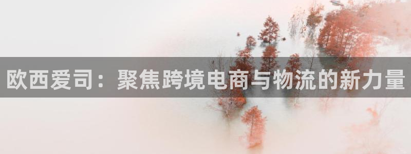 28圈娱乐官网网页：欧西爱司：聚焦跨境电商与物流的新力量