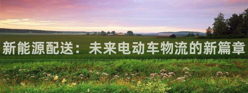 28圈注册与教程：新能源配送：未来电