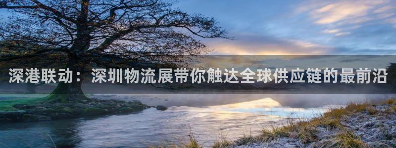 28圈绿骨头：深港联动：深圳物流展带你触达全球供应链的最前沿