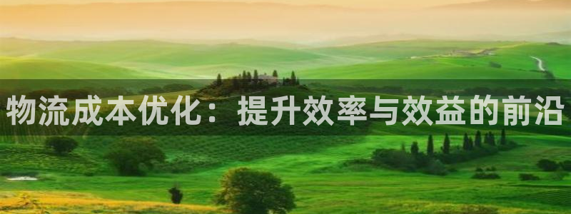 28圈分分28预测：物流成本优化：提