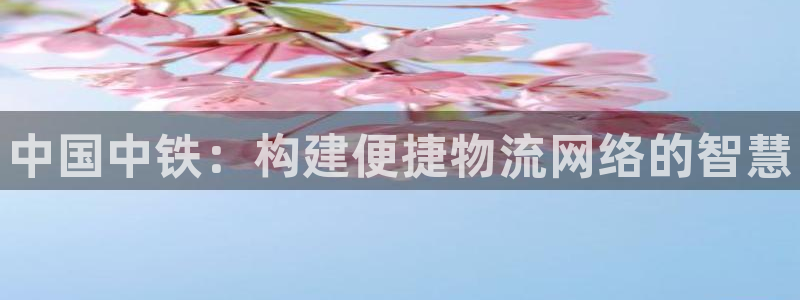 28圈加拿大在线预测：中国中铁：构建