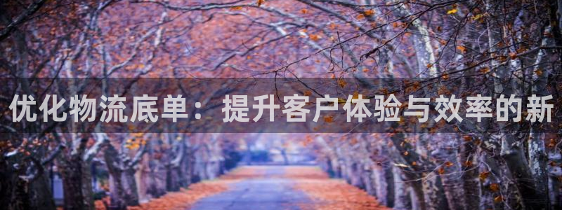 28圈是南宫旗下的吗：优化物流底单：