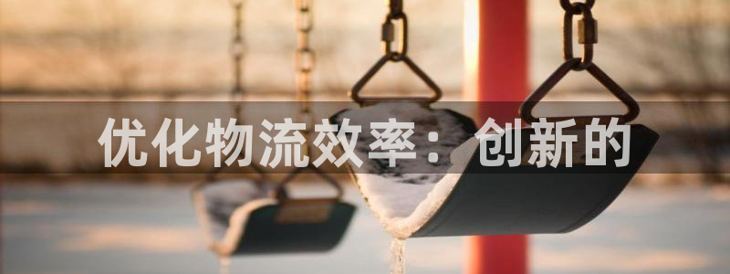 28圈怎么下载不了：优化物流效率：创