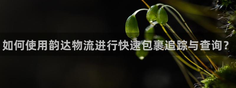 28圈.ccmapp：如何使用韵达物