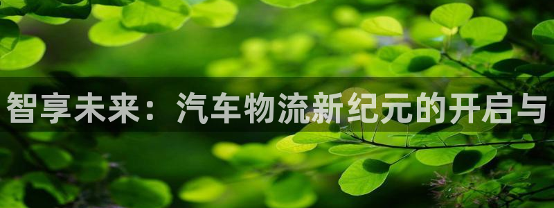28圈登录：智享未来：汽车物流新纪元