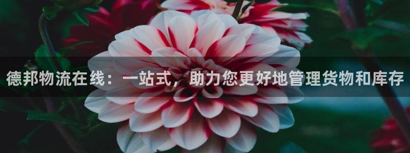 28圈.ccm2024：德邦物流在线