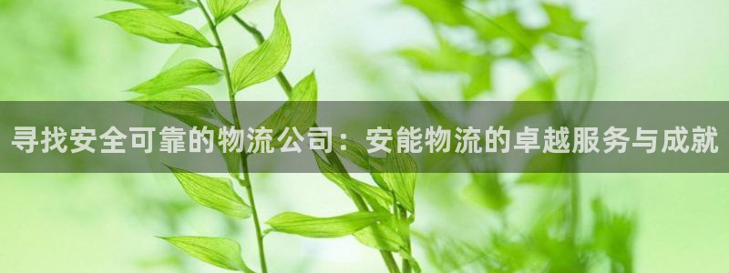 28圈加拿大在线预测：寻找安全可靠的