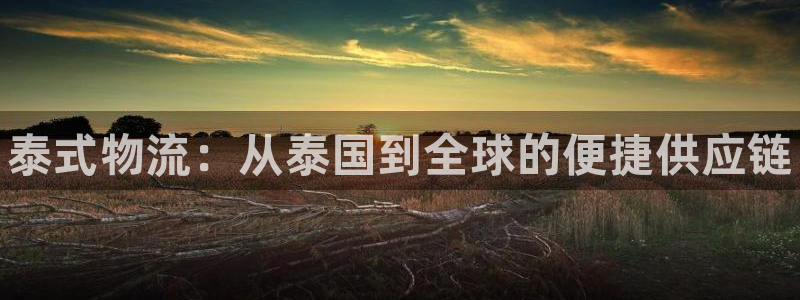 28圈技巧：泰式物流：从泰国到全球的