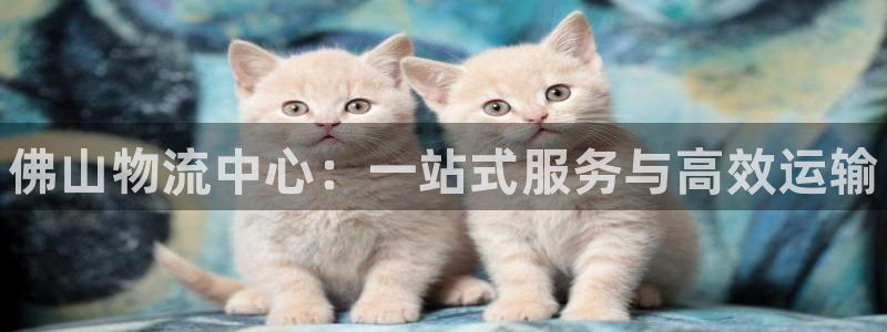 28圈注册链接：佛山物流中心：一站式