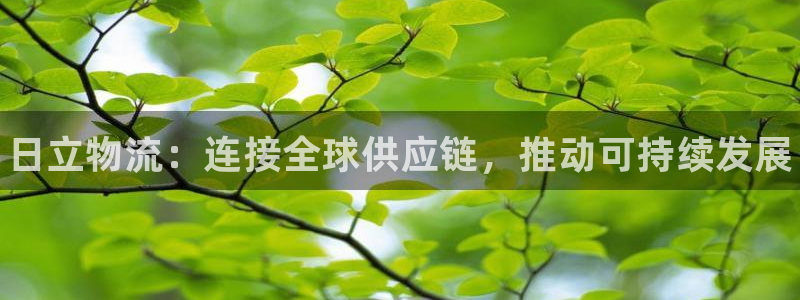 28圈口内径是多大：日立物流：连接全