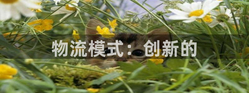 28圈注册与教程：物流模式：创新的