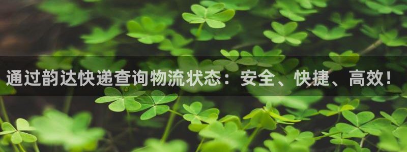 28圈是什么软件：通过韵达快递查询物