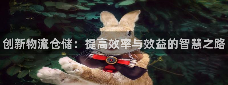28圈app官网少林足球：创新物流仓