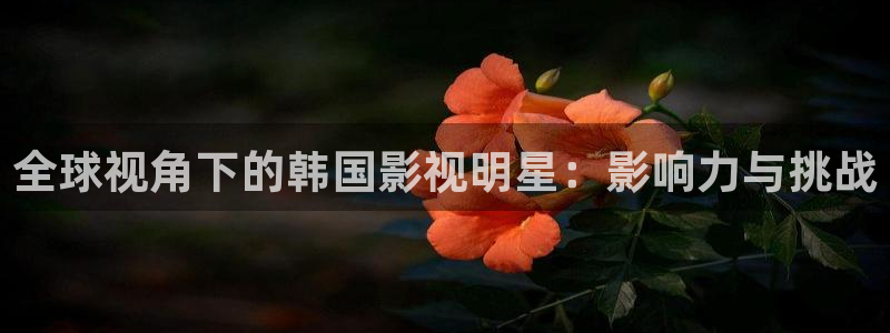 驰策驰影院红桃国际：全球视角下的韩国影视明星：影响力与挑战