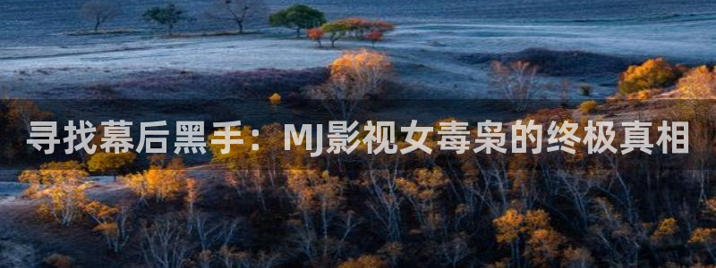 驰策：寻找幕后黑手：MJ影视女毒枭的终极真相