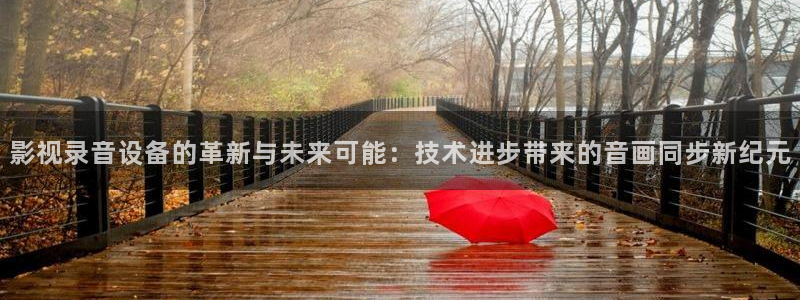 驰策影院在线观看：影视录音设备的革新与未来可能：技术进步带来的音画同步新纪元