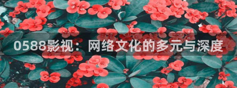 策驰策影院：0588影视：网络文化的多元与深度