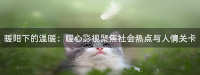 驰策驰影院 官网：暖阳下的温暖：暖心影视聚焦社会热点与人情关卡