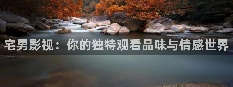 驰策影视电视剧：宅男影视：你的独特观看品味与情感世界