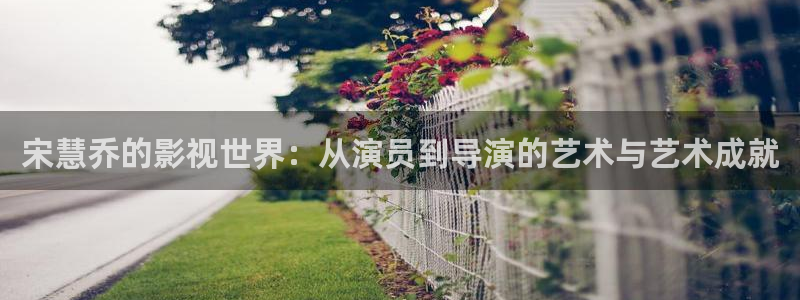 驰策影视电视剧：宋慧乔的影视世界：从演员到导演的艺术与艺术成就